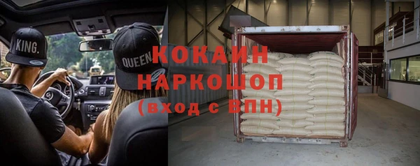 крисы Новозыбков