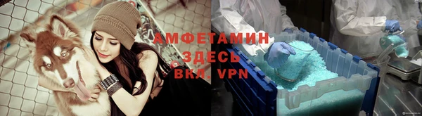 крисы Новозыбков