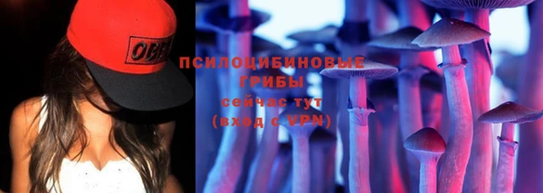 дурь Новодвинск