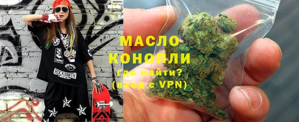 крисы Новозыбков
