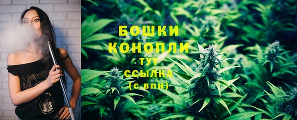 ГАЛЛЮЦИНОГЕННЫЕ ГРИБЫ Рославль