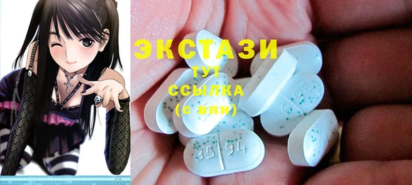 крисы Новозыбков