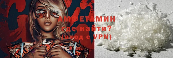 крисы Новозыбков