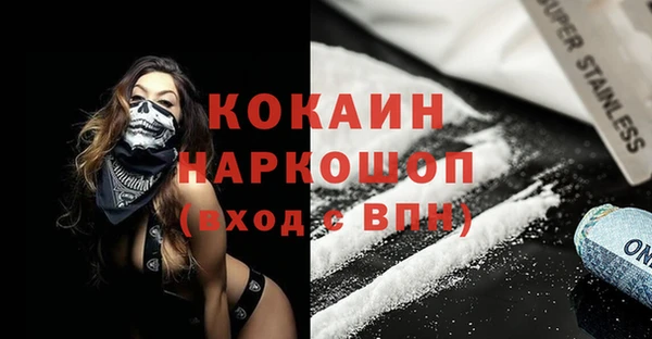 крисы Новозыбков