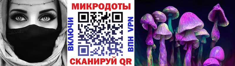купить наркотик  блэк спрут маркетплейс  Псилоцибиновые грибы Cubensis  Тосно 