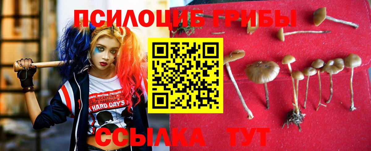 Псилоцибиновые грибы прущие грибы  Вход с VPN  Тосно 
